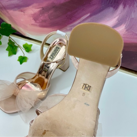 Badgley Mischka Collection Tess Ankle Strap
Sandal in Soft Blush Size 9 - Picture 12 of 12